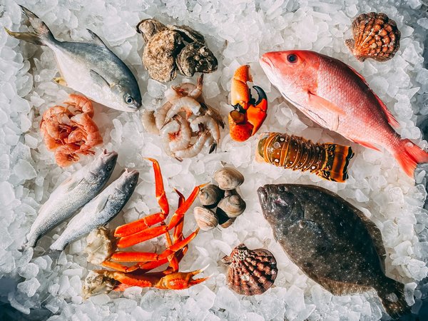 Key techniques for effective seafood safety training for restaurant staff during a menu launch