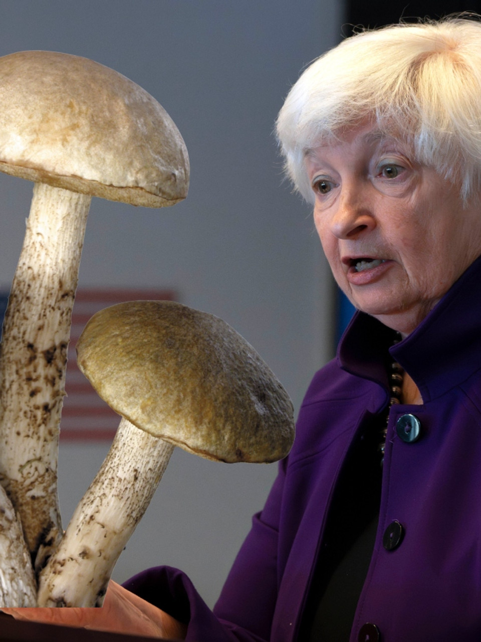 Janet Yellen: Mushroom Hunt in China: Yunnan Adventure